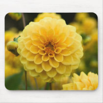 Dahlia Mousepad