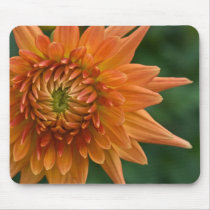 Dahlia Mousepad