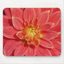 Dahlia mousepads