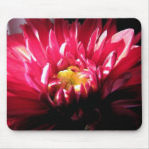 Dahlia mousepads