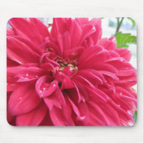 dahlia mousepads