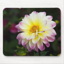 Dahlia Mousepad