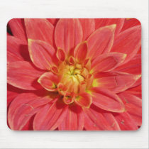 Dahlia mousepads
