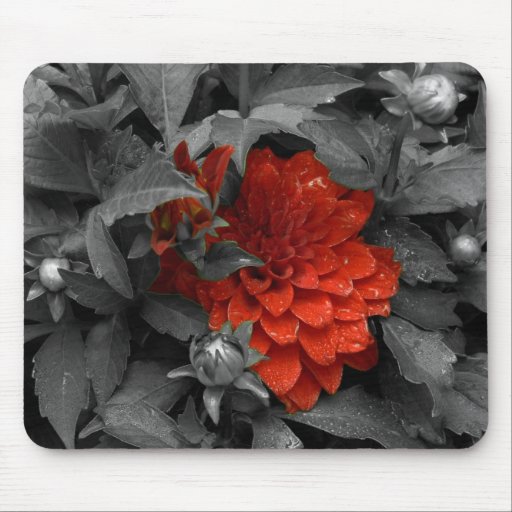 Dahlia-mousepad