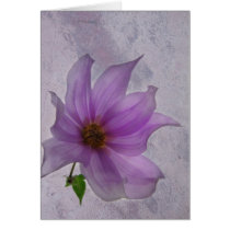 Dahlia on Stone cards by ImagesbyLorraine Dahlia on Stone cards