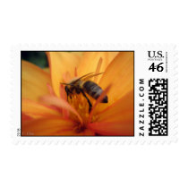 Dahlia (orange) stamp