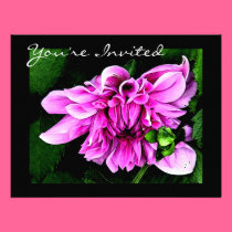 Dahlia invitations