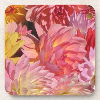 Dahlia Petals Coasters