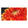 Dahlia Photo Greeting Card