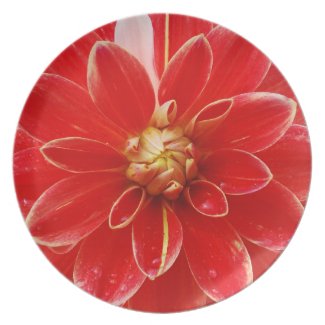 Dahlia Plate