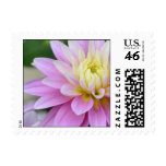 Dahlia Postage stamps