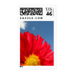 Dahlia Postage Stamp