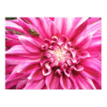 Dahlia Poster