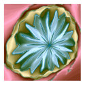 Dahlia posters by srobles754 Dahlia posters