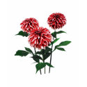 Dahlia Santa Claus shirt
