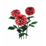 Dahlia Santa Claus t-shirts
