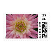 Dahlia Stamp