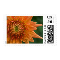 Dahlia Stamp