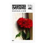 Dahlia Stamps