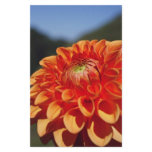 Dahlia Stationery Design