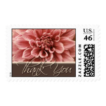 Dahlia • Thank you
