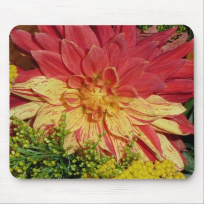 Dahlia Two Tone Mouse Mats by bkang22