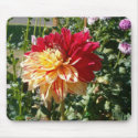 dahlia - two tone mousepads