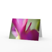 Dahlia up close greeting card