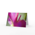Dahlia up close greeting card
