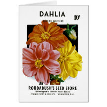 Dahlia Vintage Seed Packet Card