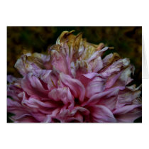 Dahliapast cards