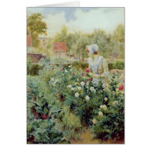 Dahlias, 1896 cards