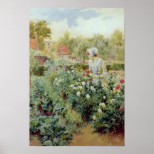 Dahlias, 1896 print