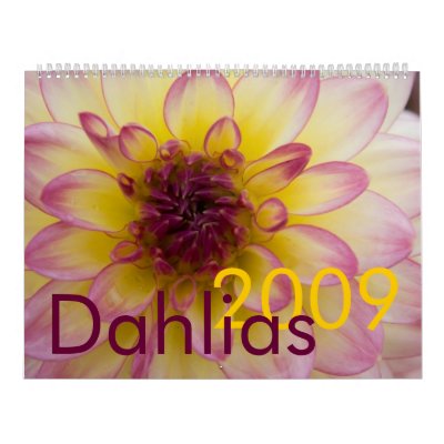 Dahlias 2009 Calendar by SabineSt