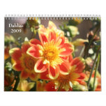 Dahlias 2009 Calendar
