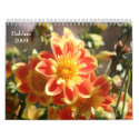 Dahlias 2009 Calendar