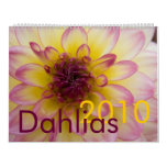 Dahlias 2010 Calendar
