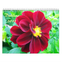 Dahlias 2011 - Calendar