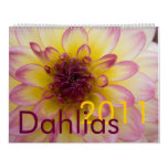Dahlias 2011 Calendar style=border:0;