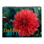 Dahlias Calendars