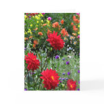 Dahlias for Mother's Day Card