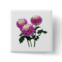 Dahlias Gitts Perfection button