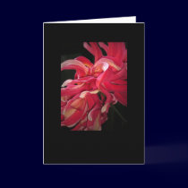 Dahlias in Love cards