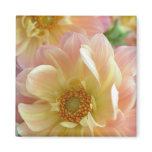 dahlias magnets
