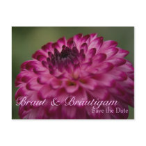 Dahlie • Save the Date Postkarte postcards