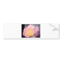 Dahling Bumper Stickers