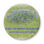 Daily Bread magnets