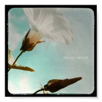 Daily white - Small print by Lenoirrr Daily white - Small print