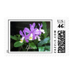 Dainty Orchids Love Postage
