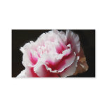 Dainty Pink Carnation Flower Floral Business Business Card Templates